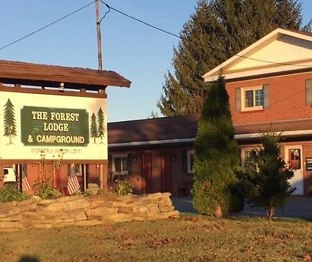 The Forest Lodge And Campground Marienville Esterno foto