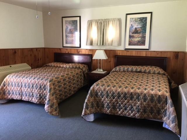 The Forest Lodge And Campground Marienville Esterno foto